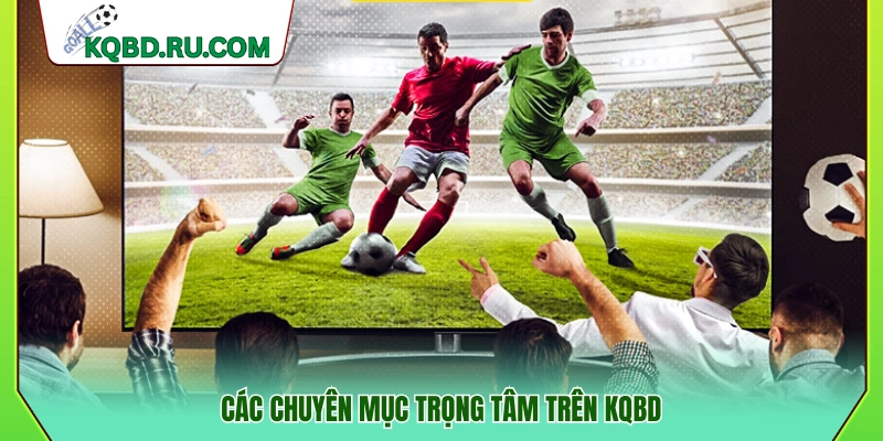 Hệ thống chuyên mục chính đang hoạt động